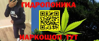 мдпв Малгобек