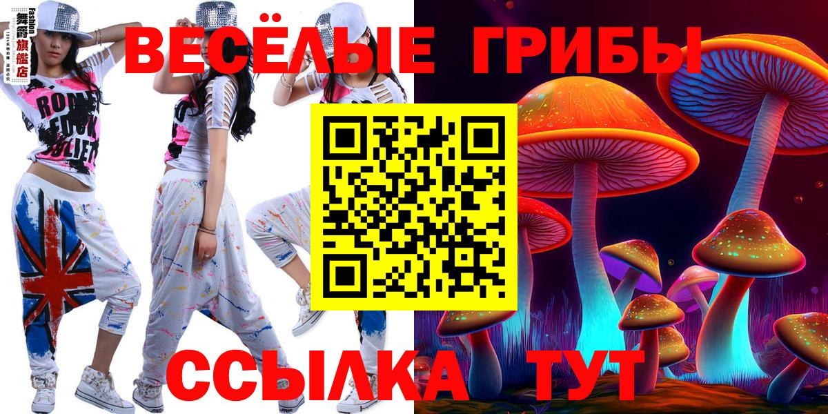 Псилоцибиновые грибы прущие грибы Губкинский
