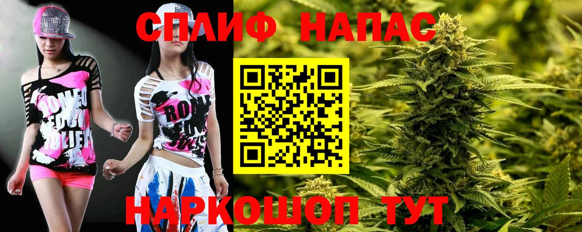 Каннабис конопля Губкинский